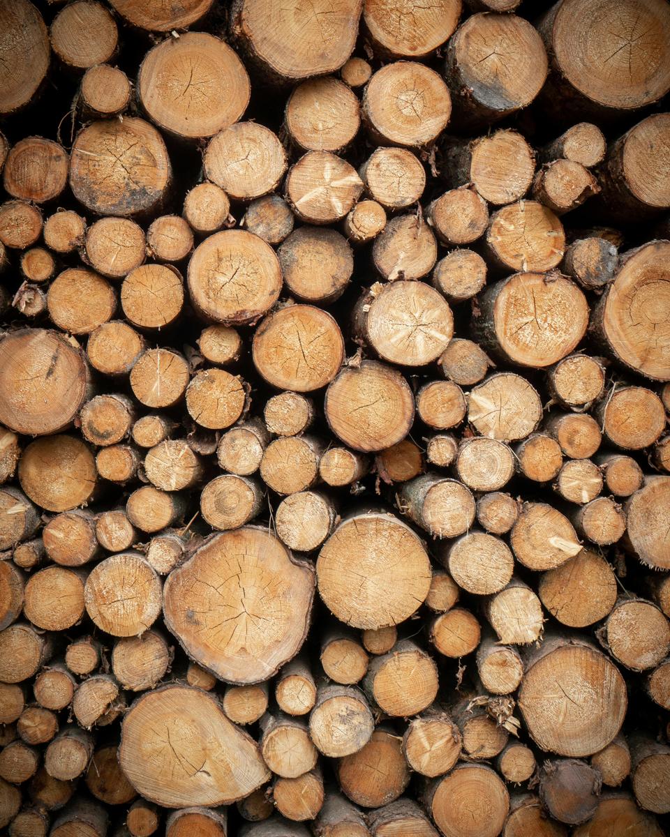 eco construction