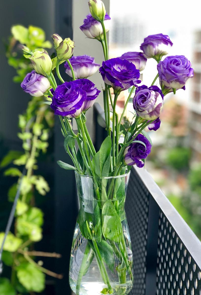 urban balcony